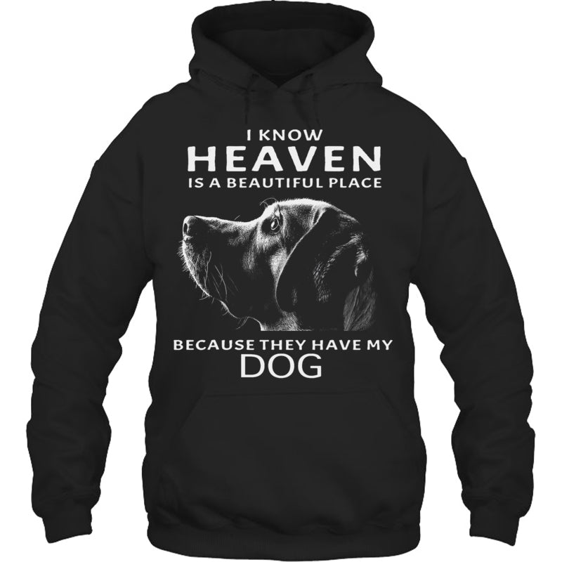 BlackHoodieIKnowHeavenIsABeautifulPlaceBecauseTheyHaveMyDogHeaven