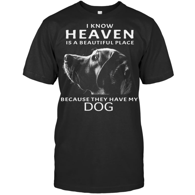 BlackTshirtIKnowHeavenIsABeautifulPlaceBecauseTheyHaveMyDogHeaven