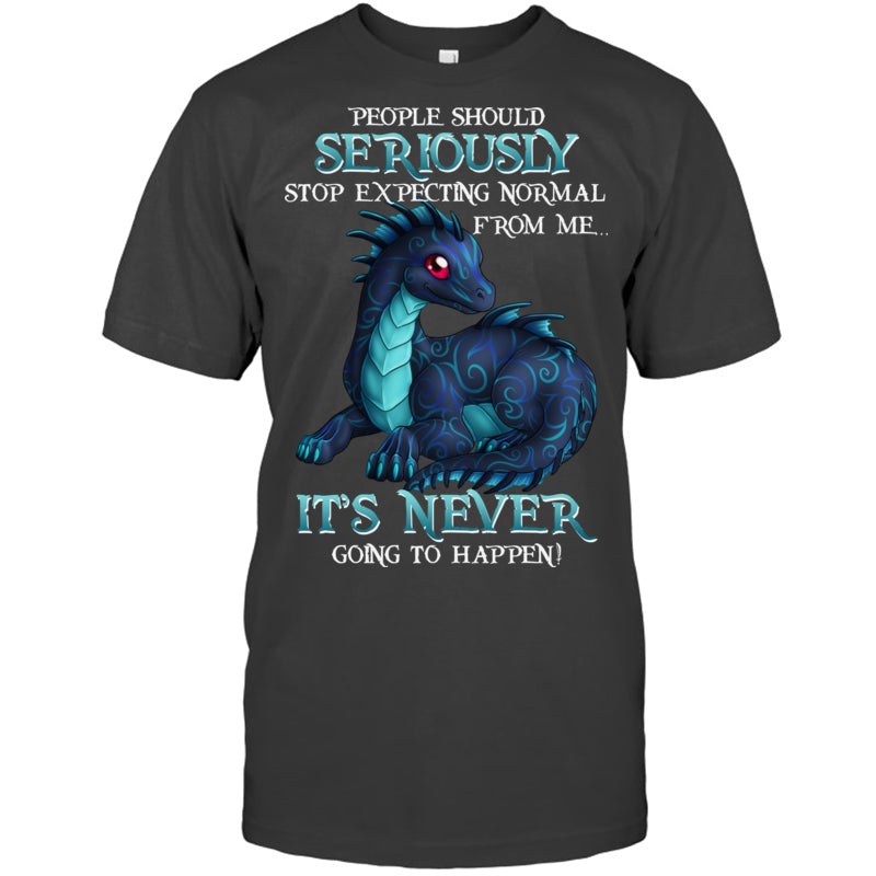 HeatherDarkGreyTshirtPeopleShouldSeriouslyGiftForDragonLovers