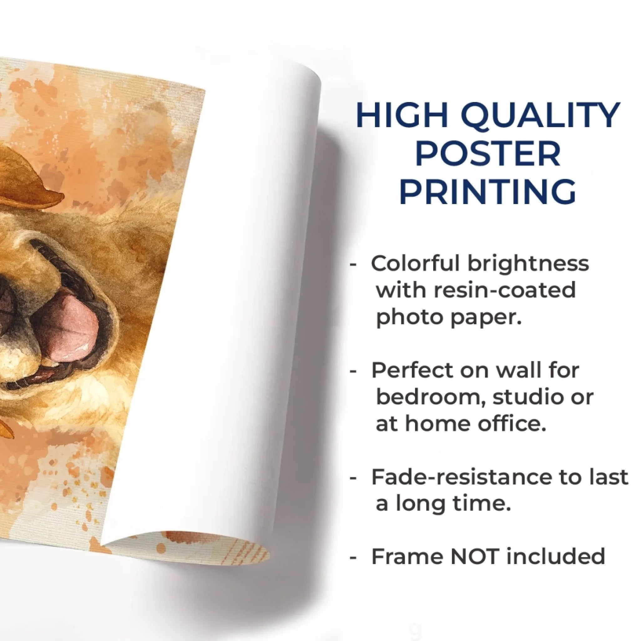 6_50584a6f 3312 467d 81ae 50b868d791cd