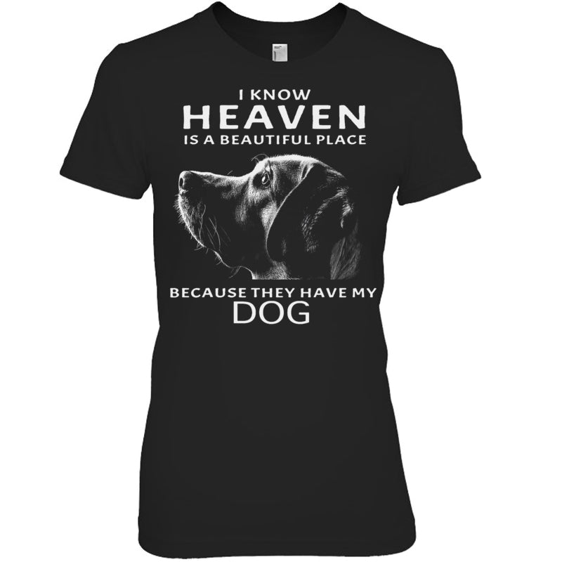 BlackWomanTshirtIKnowHeavenIsABeautifulPlaceBecauseTheyHaveMyDogHeaven