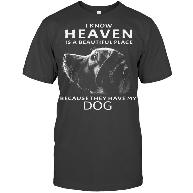 HeatherDarkGreyTshirtIKnowHeavenIsABeautifulPlaceBecauseTheyHaveMyDogHeaven